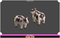 Farm Animals Pack Cute cow sheep horse pig chicken hen rooster chick zoo animal village cartoon