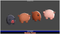 Modular Pig Boar Chibi Meshtint 3d model unity low poly game fantasy monster evolution Pokemon