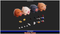 Modular Pig Boar Chibi Meshtint 3d model unity low poly game fantasy monster evolution Pokemon