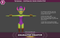 Character Creator SimP Series 1.5.1 Mesh Tint Shop3DSA Unity3D Game Low Poly Download 3D Model
