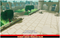 Forest Ruins Terrain Cute Toon Meshtint 3d model modular unity low poly game fantasy tree jungle