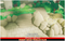 Forest Ruins Terrain Cute Toon Meshtint 3d model modular unity low poly game fantasy tree jungle