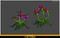Polygonal Plant Dionaea Mesh Tint Shop3DSA Unity3D Game Low Poly Download 3D Model
