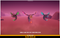 Polygonal Aliens Pack Mesh Tint Shop3DSA Unity3D Game Low Poly Download 3D Model
