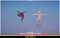 Polygonal Aliens Pack Mesh Tint Shop3DSA Unity3D Game Low Poly Download 3D Model