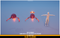 Polygonal - Alien Telekinis Mesh Tint Shop3DSA Unity3D Game Low Poly Download 3D Model