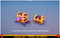 Polygonal - Creatures Pack Mesh Tint Shop3DSA Unity3D Game Low Poly Download 3D Model