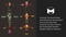 Polygonal Fantasy Pack 1.3 Mesh Tint Shop3DSA Unity3D Game Low Poly Download 3D Model