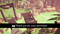 Polygonal Fantasy Pack 1.3 Mesh Tint Shop3DSA Unity3D Game Low Poly Download 3D Model
