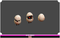 Egg Shade Shadow Evolution Pack Cute series Mesh Tint Shop3DSA Unity3D Game Low Poly Download 3D Model