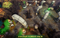 Top Down Fantasy Forest Pack Mesh Tint Shop3DSA Unity3D Game Low Poly Download 3D Model