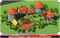 Modular Medieval Farm Village Buildings Pack Cute Series and Toon Series