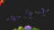 crow, bird, shadow, Halloween, pet, monster, stylized, cute, 3D, fantasy, RPG, evolution, Meshtint
