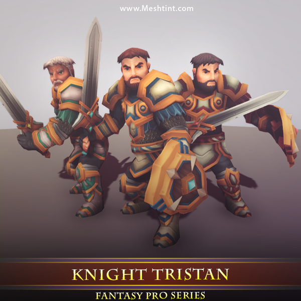 Knight Tristan 1.2 Mesh Tint Shop3DSA Unity3D Game Low Poly Download 3D Model