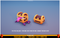 Polygonal - Treasure Chest Mesh Tint Shop3DSA Unity3D Game Low Poly Download 3D Model